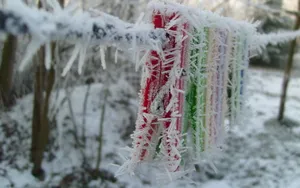 冬季雪的景观壁纸_6