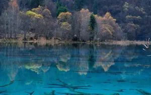 四川九寨沟风景图片壁纸_6