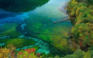 四川九寨沟风景图片壁纸_16