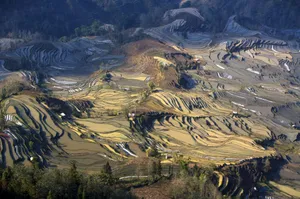 壮观的山间梯田桌面壁纸_2