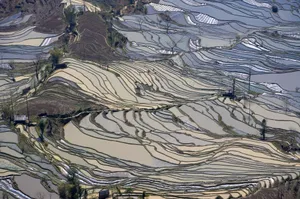 壮观的山间梯田桌面壁纸_5