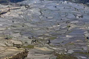 壮观的山间梯田桌面壁纸_9