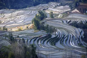 壮观的山间梯田桌面壁纸_10