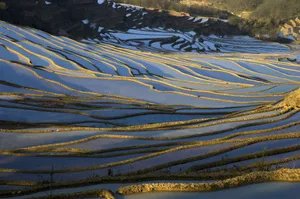 壮观的山间梯田桌面壁纸_16