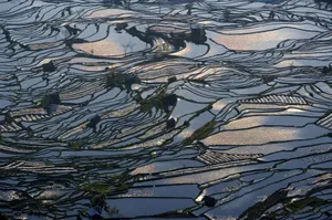 大山里无尽的梯田风光