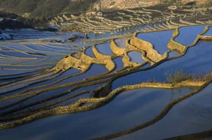 大山里无尽的梯田风光_3