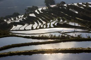 大山里无尽的梯田风光_4