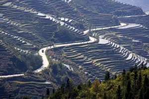 大山里无尽的梯田风光_5