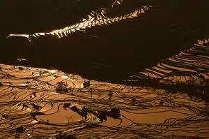 大山里无尽的梯田风光_6