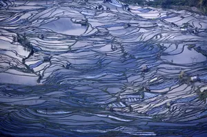 大山里无尽的梯田风光_7