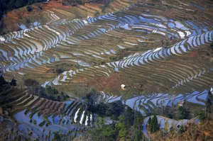 大山里无尽的梯田风光_8