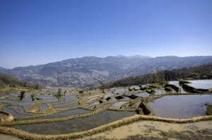 大山里无尽的梯田风光_10