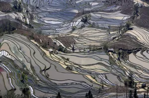 大山里无尽的梯田风光_12