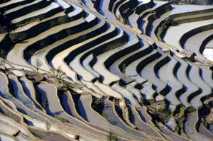 大山里无尽的梯田风光_18