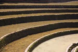 大山里无尽的梯田风光_19