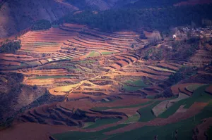 云南大山深处的红土地耕地_3
