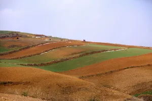云南大山深处的红土地耕地_8