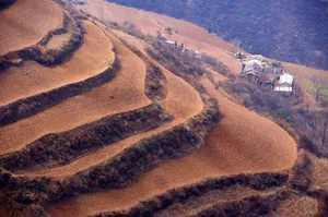 云南大山深处的红土地耕地_9