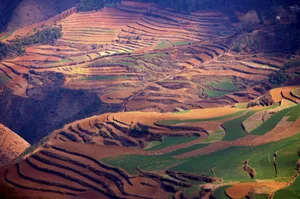 云南大山深处的红土地耕地_11