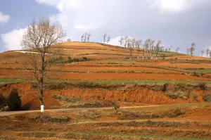 云南大山深处的红土地耕地_12