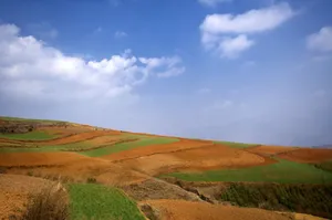云南大山深处的红土地耕地_13