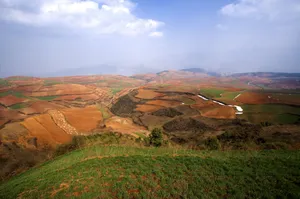 云南大山深处的红土地耕地_16