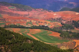 云南大山深处的红土地耕地_19