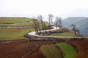云南大山深处的红土地耕地_20