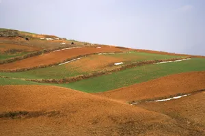 云南大山深处的红土地耕地_22