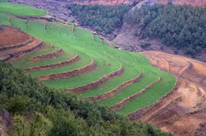 云南大山深处的红土地耕地_24