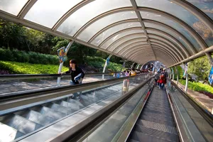 香港海洋公园旅游风光_16