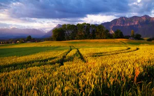 阿尔卑斯山高清自然美景_9
