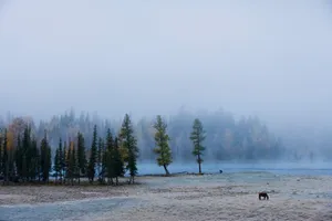水气环绕的湖光山色_10