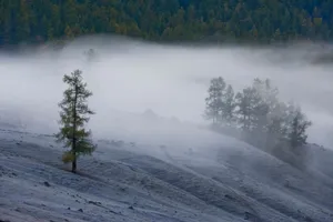 水气环绕的湖光山色_11