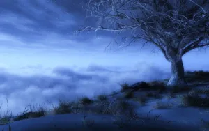 自然美丽陶醉景色_11