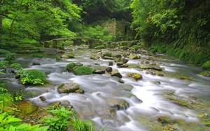 山间溪流美丽风景_8