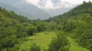 滇藏线风景图片_3
