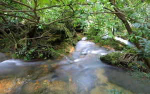 旅游渡假胜地花溪公园