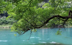 旅游渡假胜地花溪公园_2