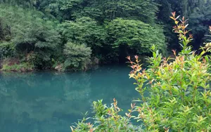 旅游渡假胜地花溪公园_6