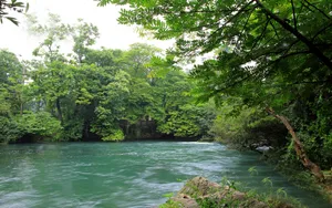 旅游渡假胜地花溪公园_19