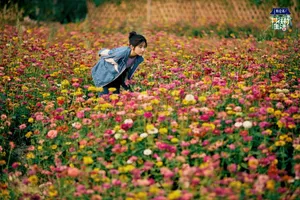 张子枫妩媚优雅写真_1
