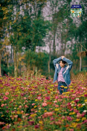 张子枫妩媚优雅写真_4