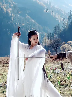 刘亦菲小龙女造型_4