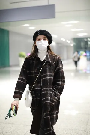 刘诗诗格纹大衣复古文艺机场照图片_5