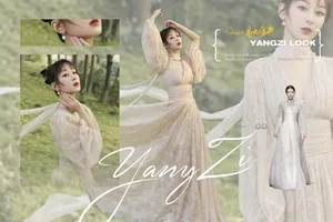 杨紫深v蕾丝刺绣长裙优雅写真图片_8