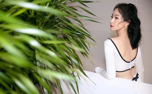 宋茜小露蛮腰优雅性感写真图片