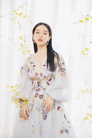 阚清子刺绣纱裙优雅写真图片_2