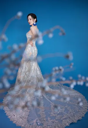 张萌性感青花瓷长裙写真图片_8