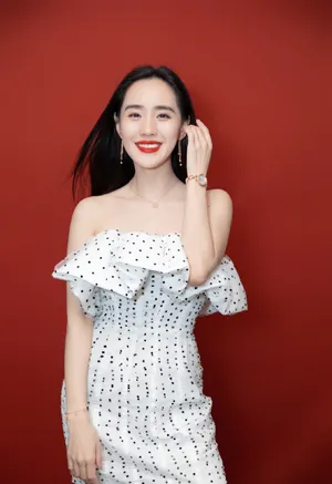 王智性感抹胸裙写真图片